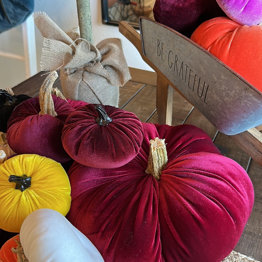 Velvet pumpkins!! - Picture 3 of 4